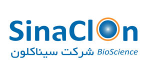 سیناگلون