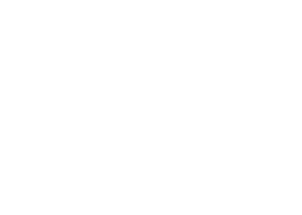 liraweb-branding